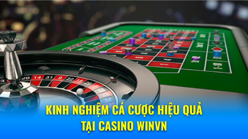 Kinh nghiệm cá cược hiệu quả tại Casino Winvn