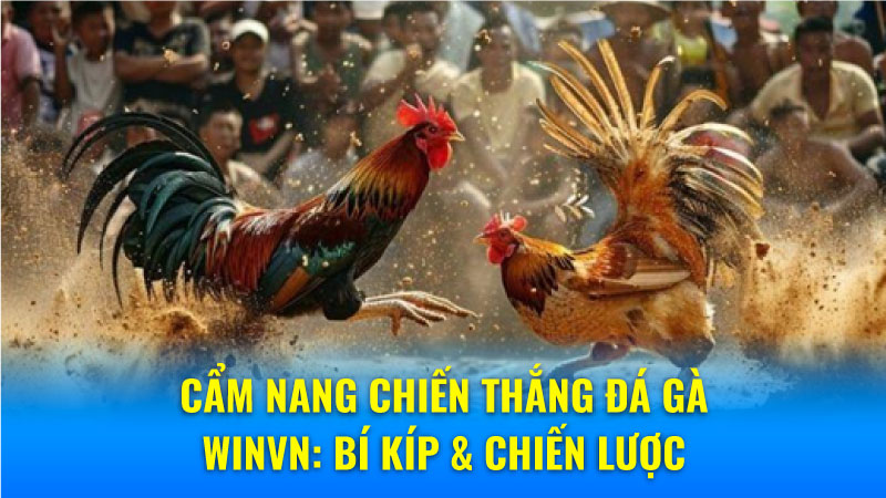 Cẩm nang chiến thắng Đá Gà Winvn: Bí kíp & chiến lược