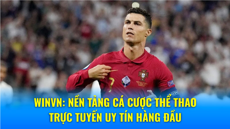 Winvn: Nền tảng cá cược thể thao trực tuyến uy tín hàng đầu 