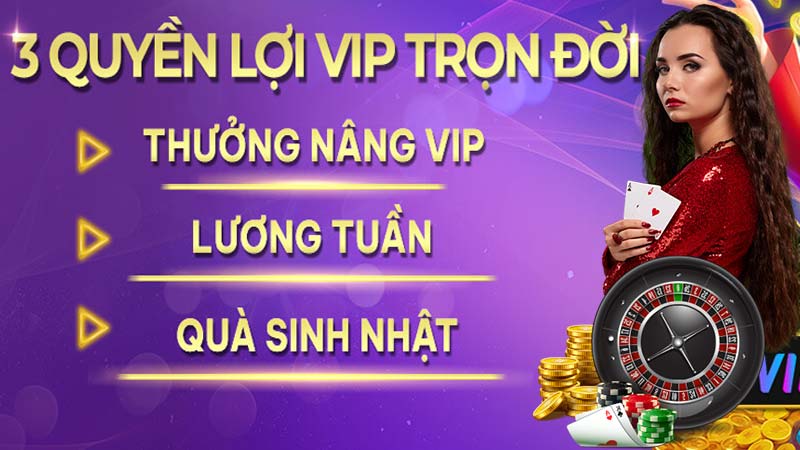 Về nhà cái winvn